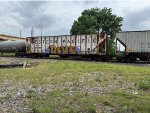 WP 12065